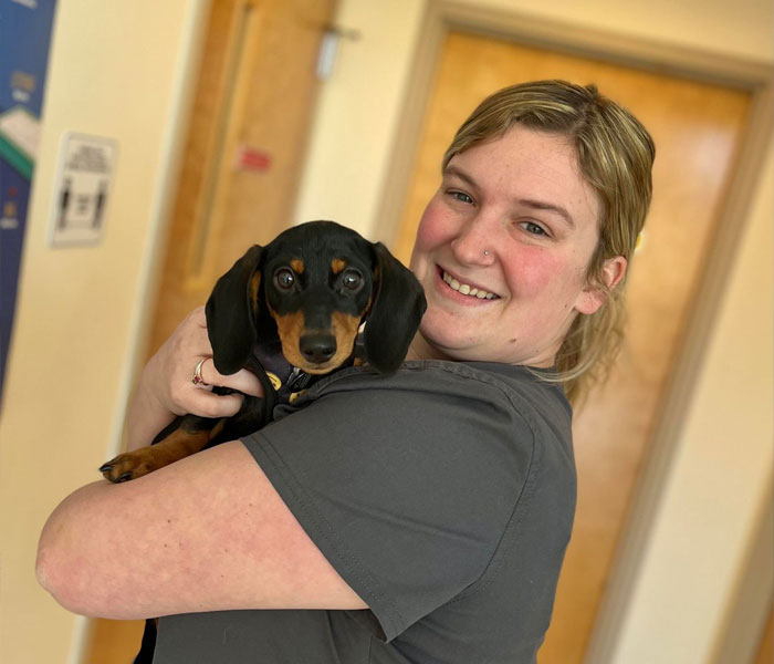 Veterinarian in Dansville Vet Near You Dansville Animal Hospital